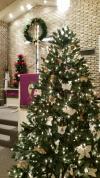 FUPC-Chrismon-Tree