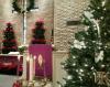 poinsettia-tree2
